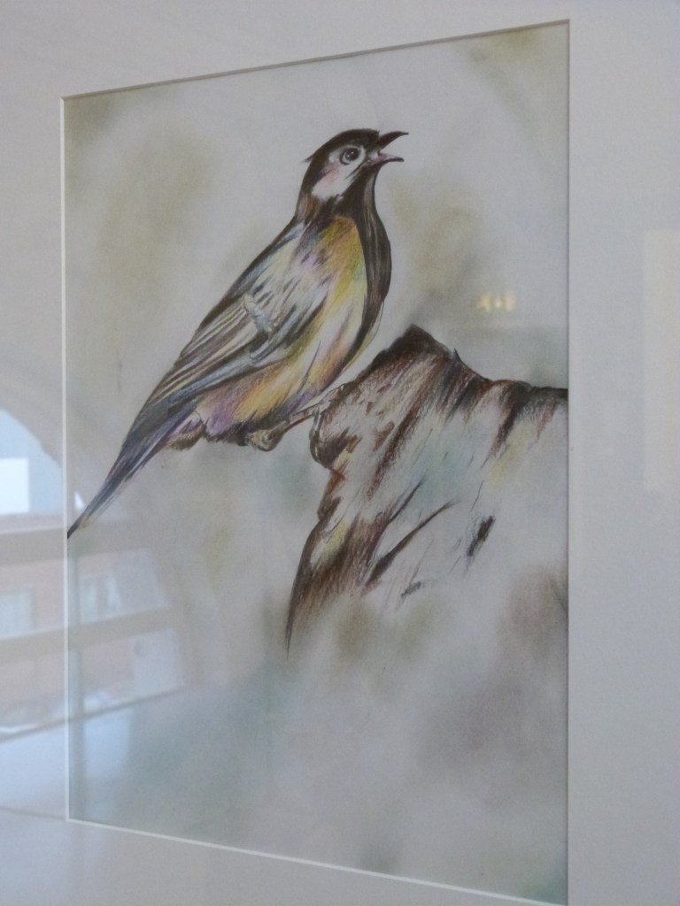 Colourful Bird by Esmail, Dungavel Immigration Removal Centre.